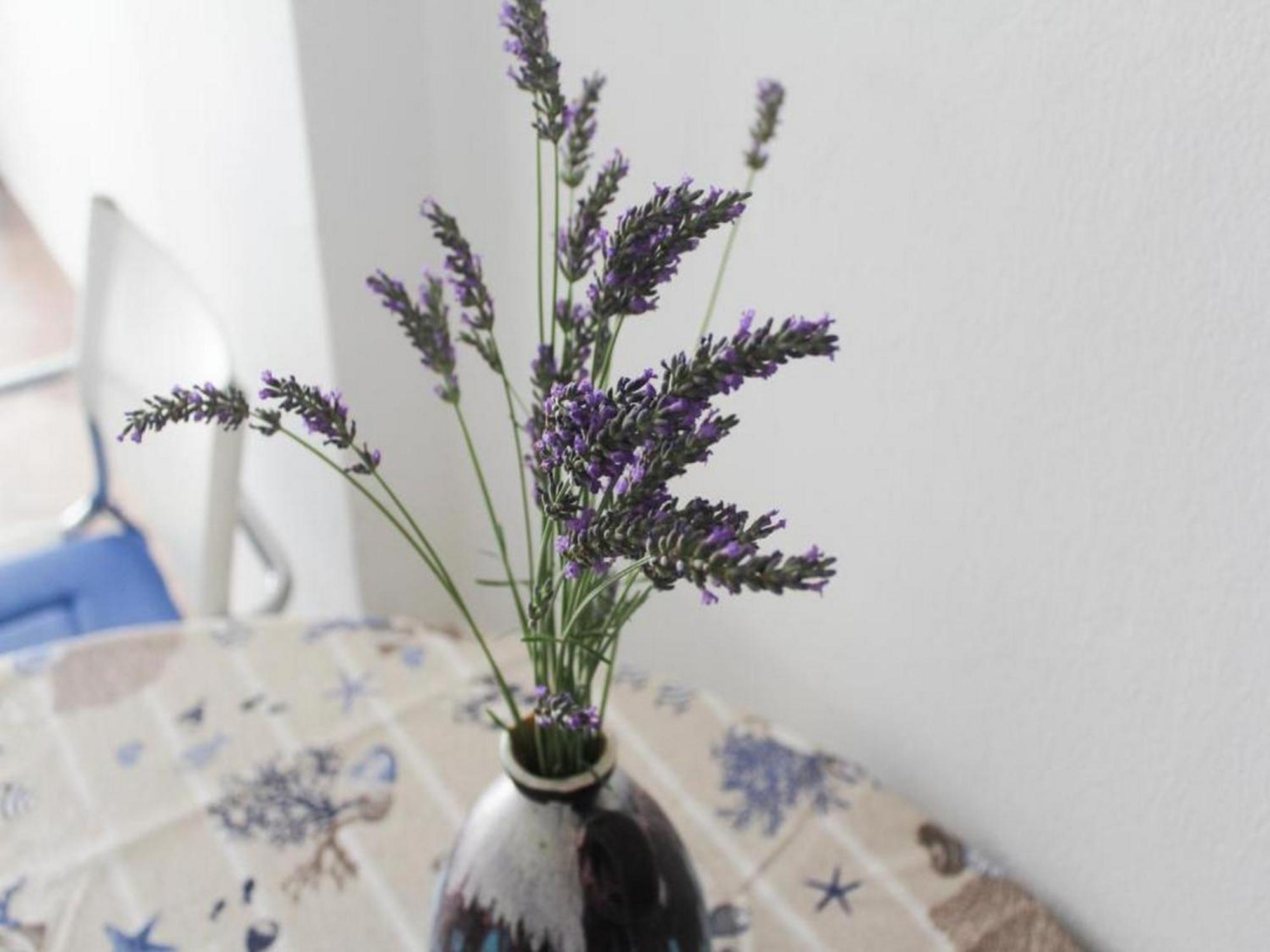 Apartmani Lucia Biograd Weißenburg Zimmer foto